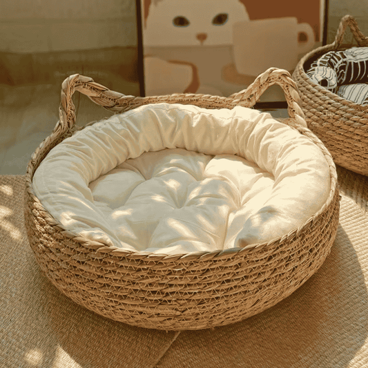 Cesta Artigianale Per Gatti